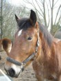 /album/topia/moments-de-detente-035-jpg/